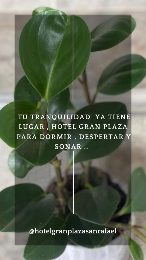 Hotel Gran Plaza San Rafael San Rafael  Buitenkant foto